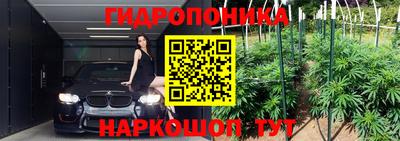 крисы Изобильный