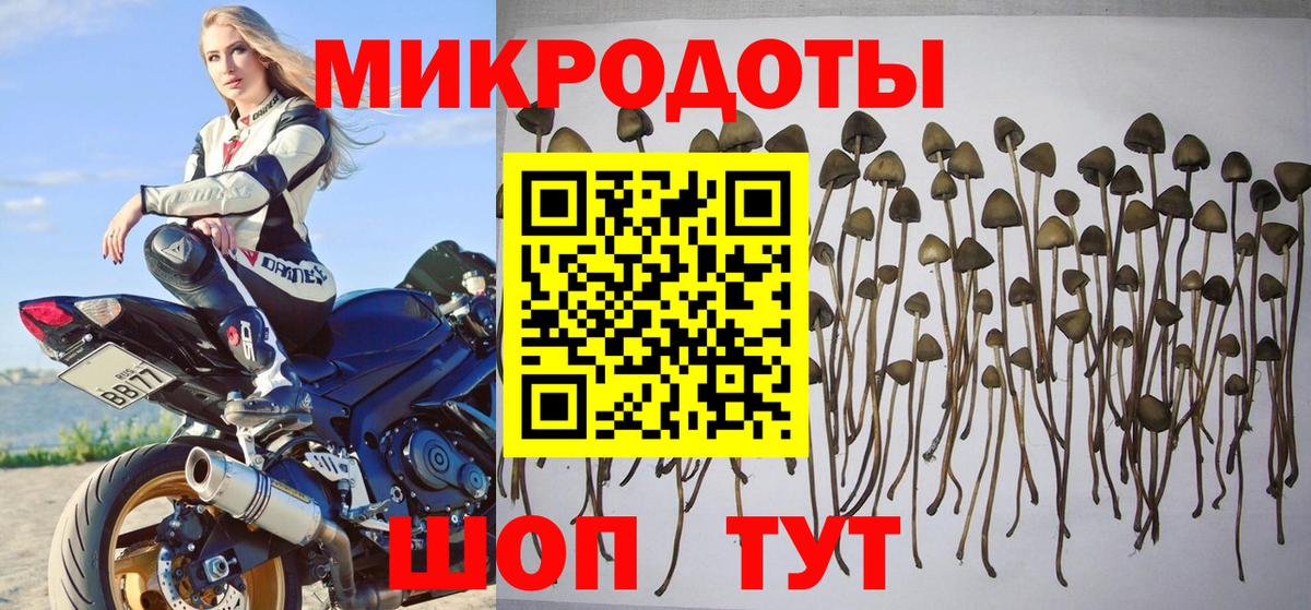 Псилоцибиновые грибы Magic Shrooms  Вход с VPN  Псилоцибиновые грибы мицелий  Нарьян-Мар 
